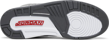 Nike Air Jordan 3 Retro 'Cool Grey' 2021